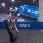 Humanoid robots