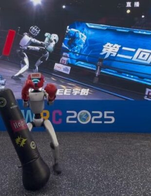 Humanoid robots