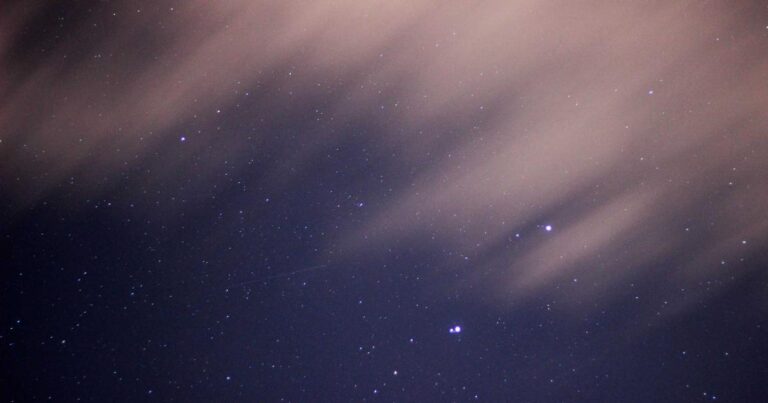 AI Transforming Pakistani Businesses: Real Success Stories