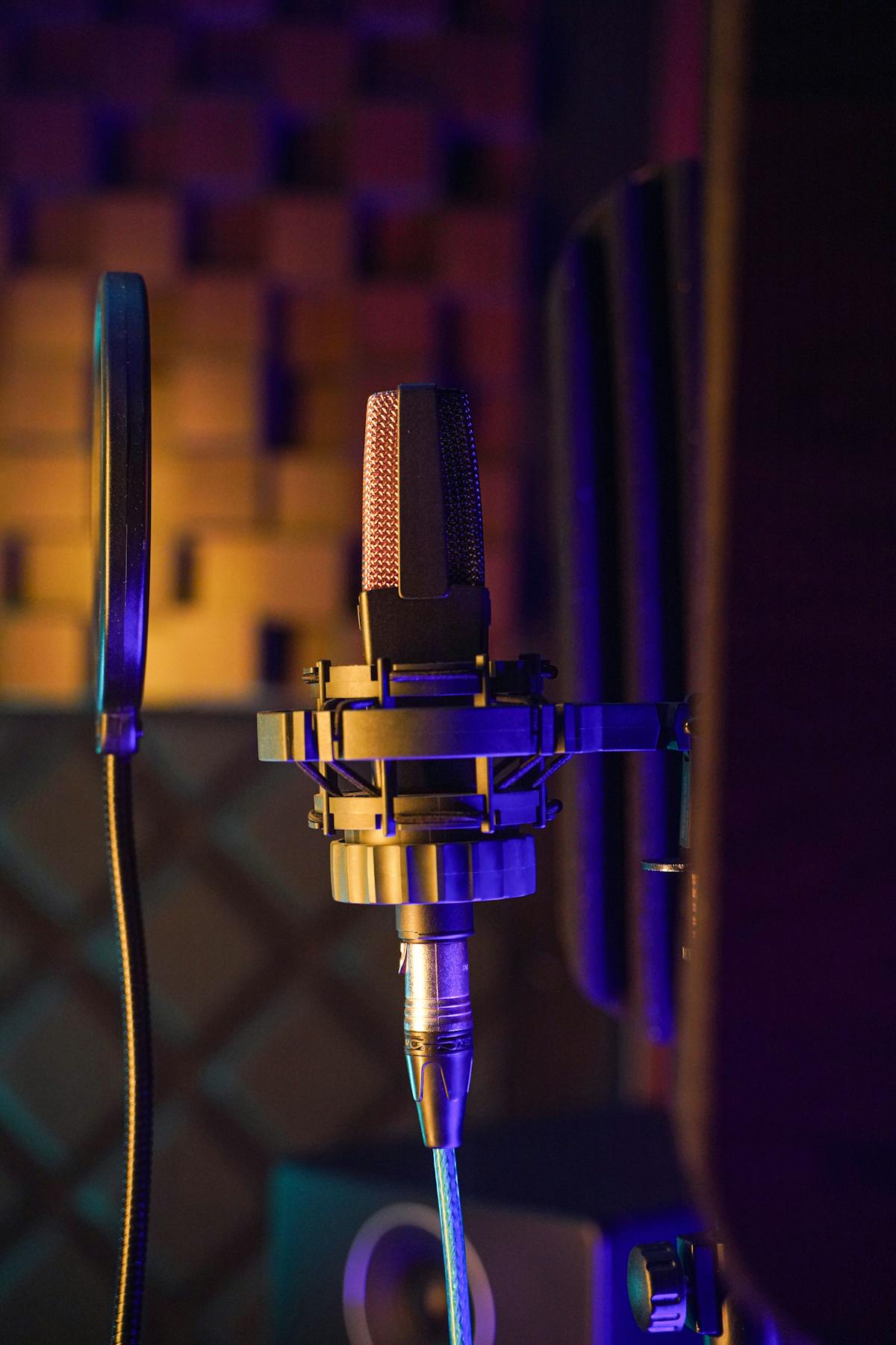 Professional condenser microphone in a music recording studio
