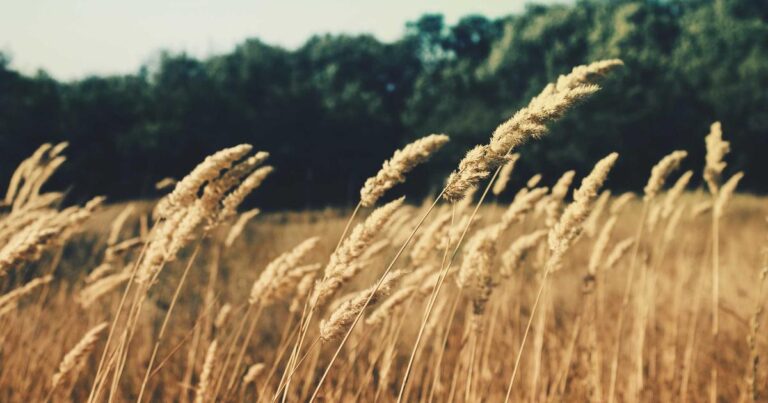 CPEC Phase 2: Major Projects Launching in Pakistan 2026