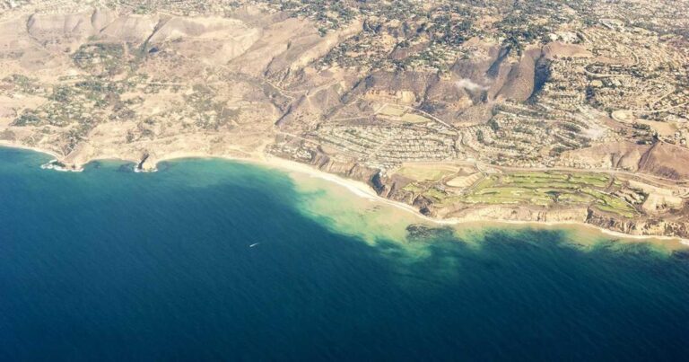 How AI Is Transforming Businesses in Pakistan