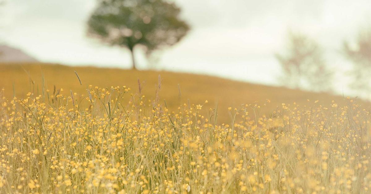 How CPEC Is Changing Pakistan's Economy in 2026