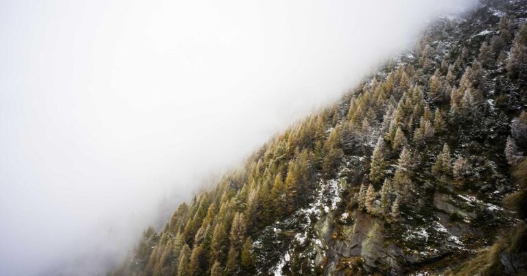 Pakistani Startups to Watch in 2026