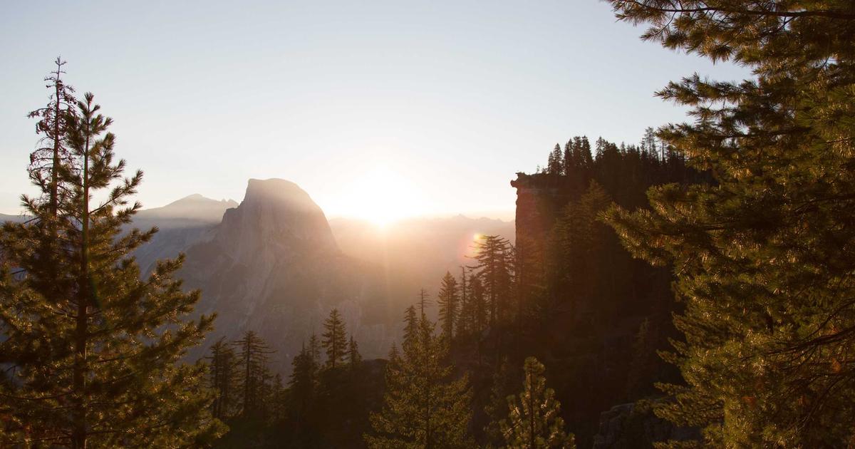 Pakistani food karahi dishes