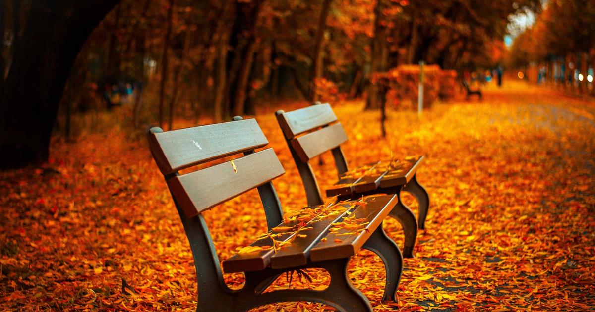 ecommerce online shopping delivery