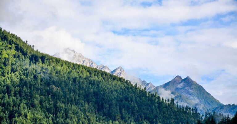 Pakistan Hockey’s Revival: Can the Green Shirts Return?