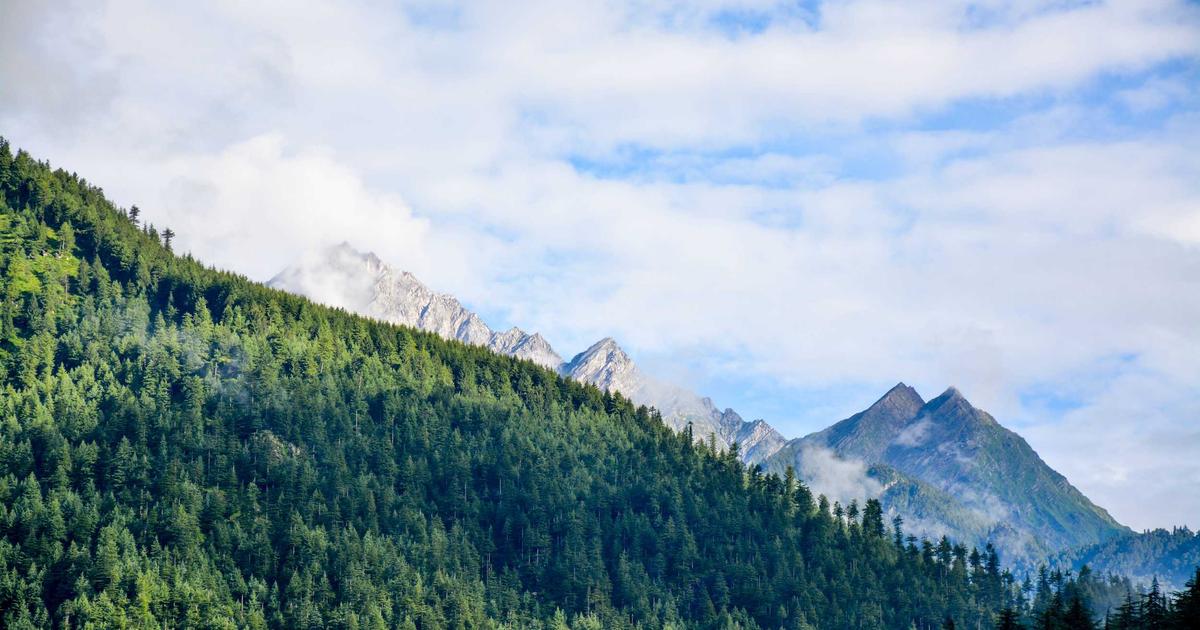 field hockey match players