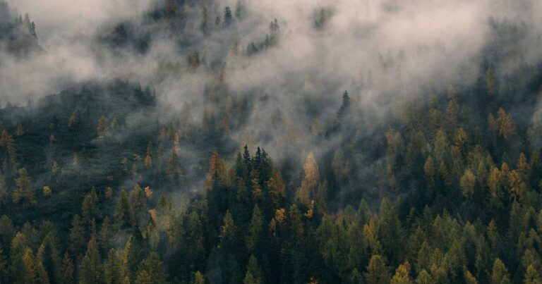 Pakistan’s Political Landscape 2026: Challenges and Change