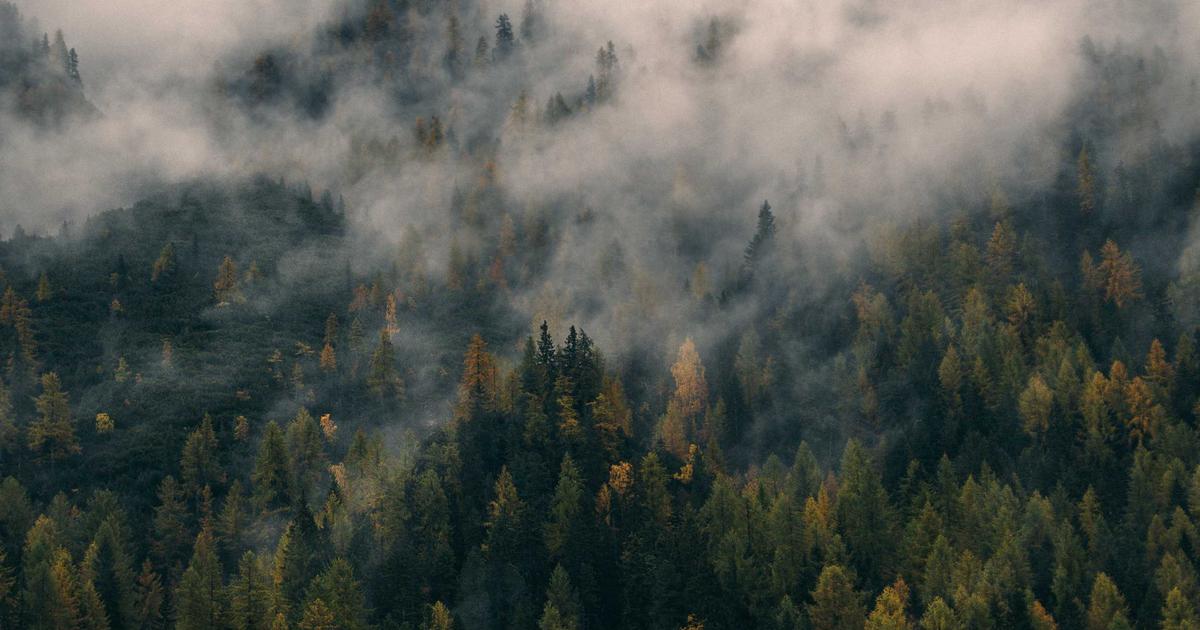 Pakistan parliament government building