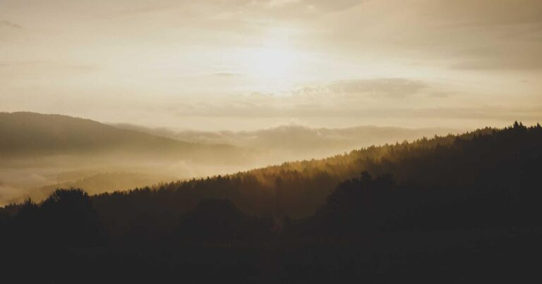 Pakistan’s Rising Sports Stars: Athletes to Watch in 2026