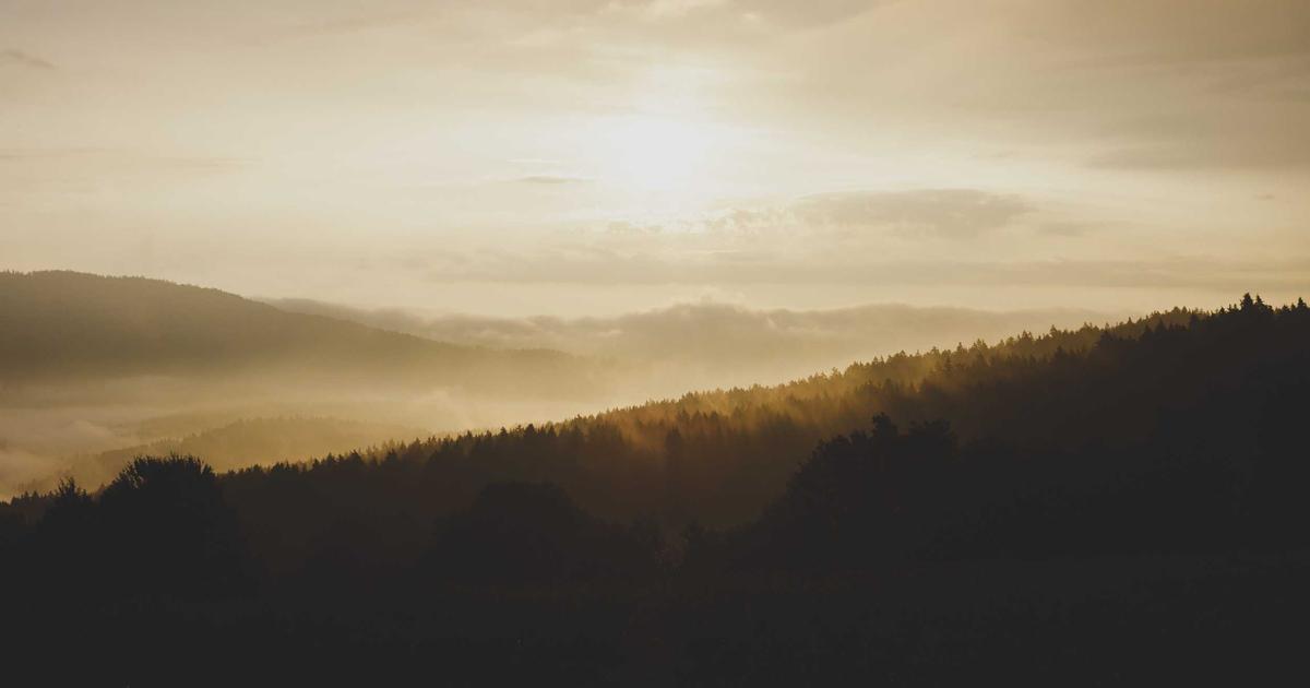 athlete sports competition victory