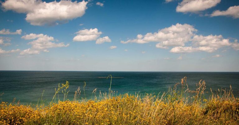 Pakistan’s Water Crisis: Why 2026 Could Be a Turning Point