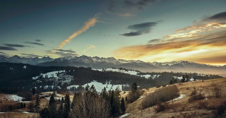 Pakistani Art Goes Global: From Truck Art to Modern Galleries