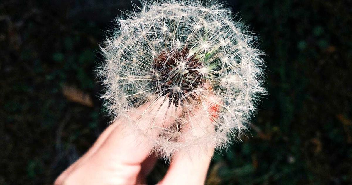 startup office technology team