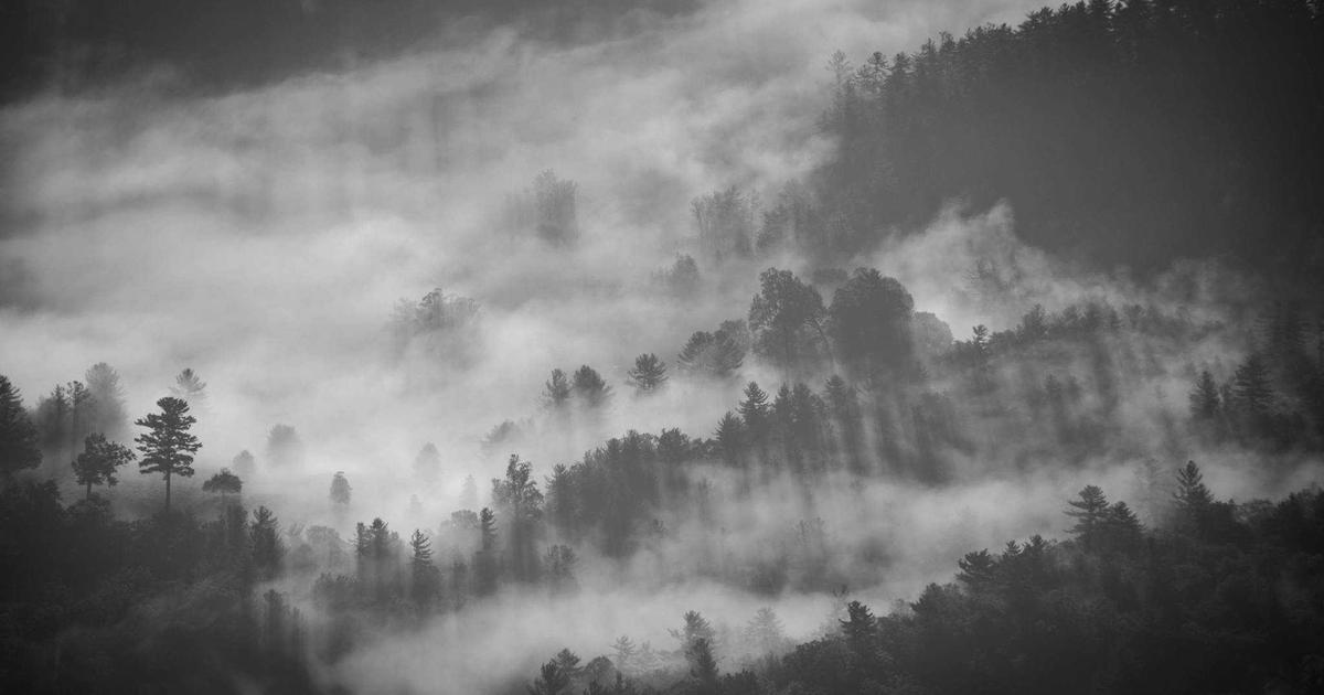 stock market trading finance